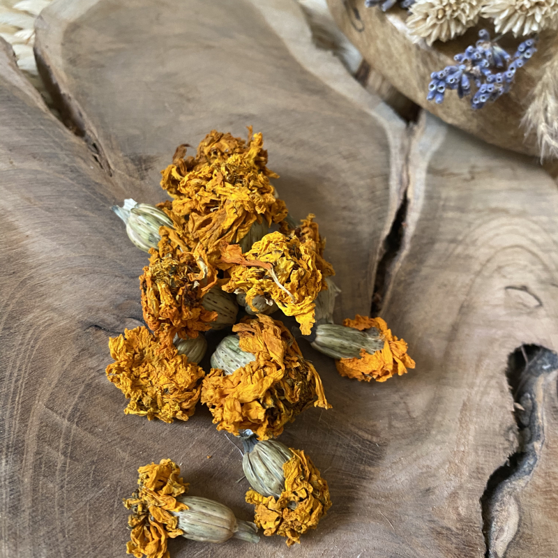 Mexican Marigold - Tagetes Erecta